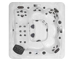 Спа бассейн Master Spas Twilight Series TS 8.2